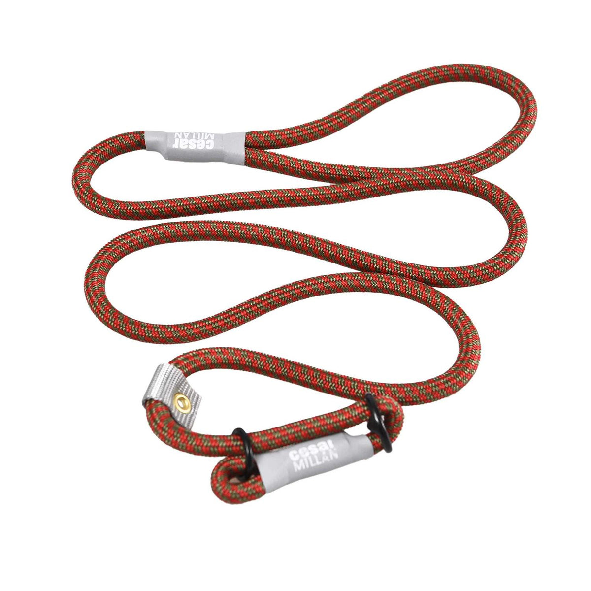 Slip Lead Leash 2-in-1 Dog Training Lead & Collar B42724