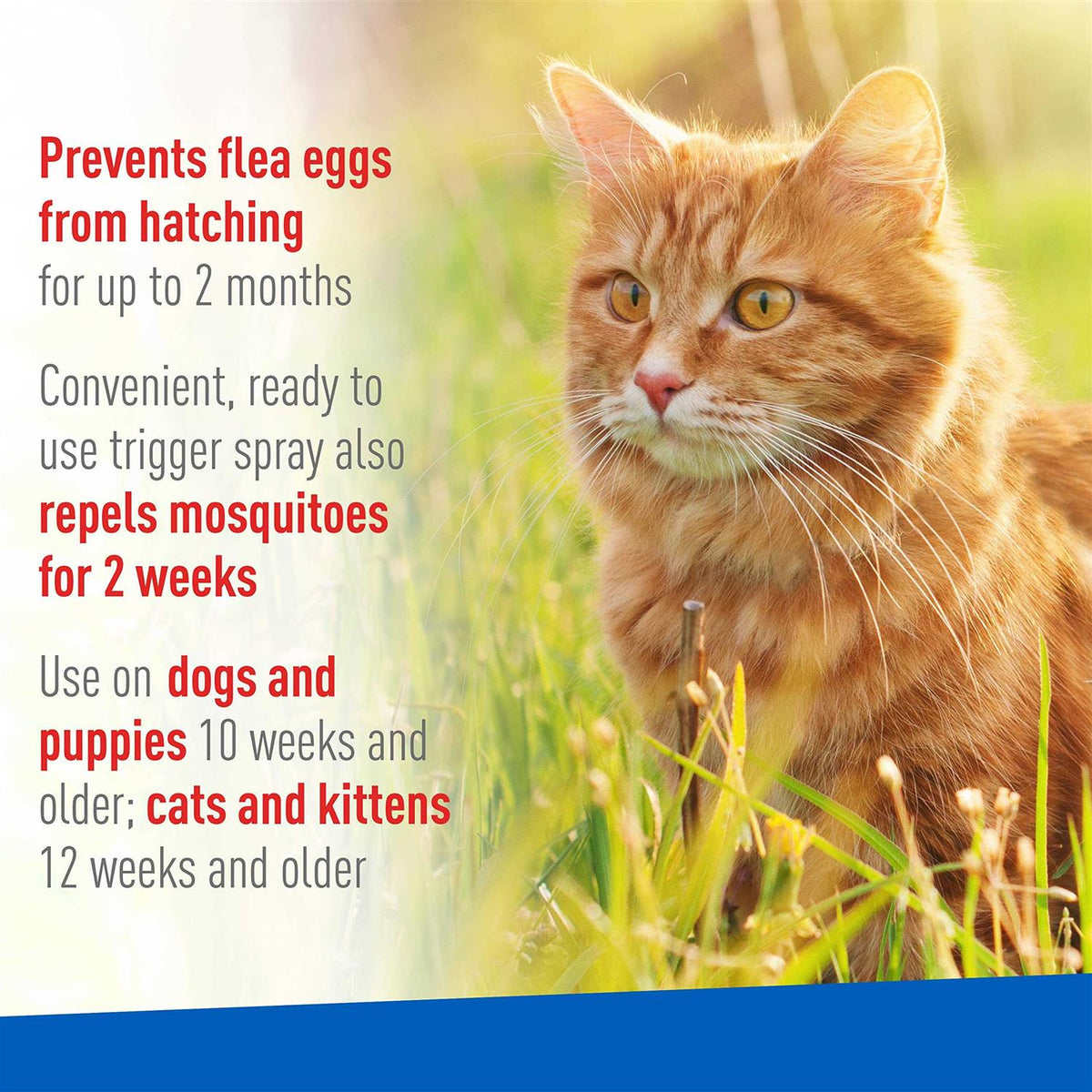 Flea Tick Spray G602338