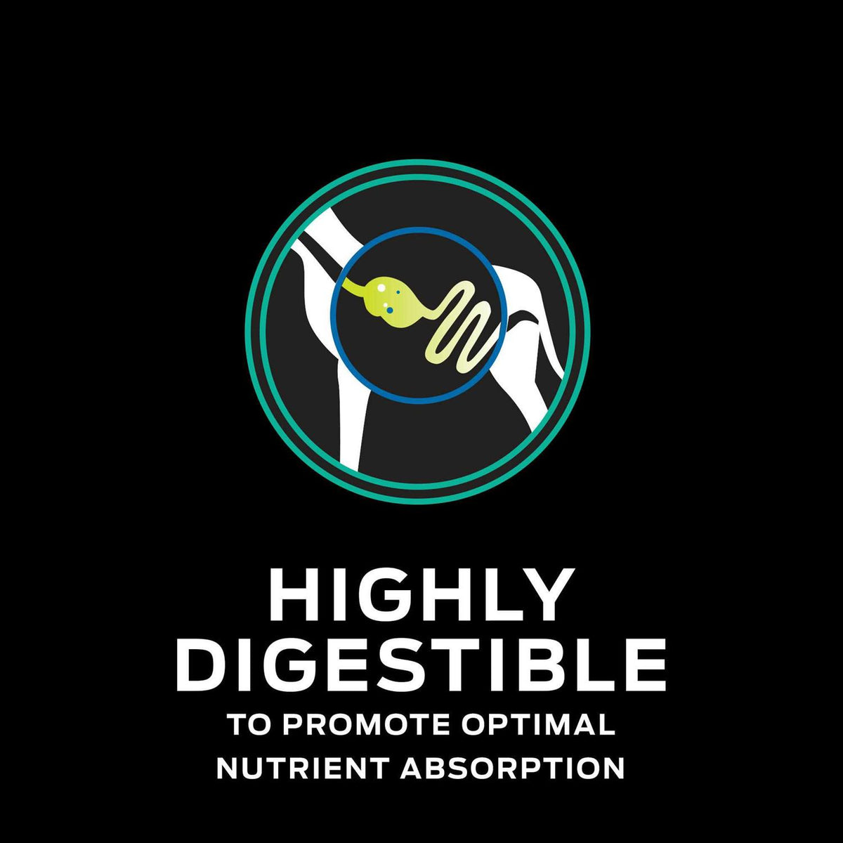 EN Gastroenteric Naturals Dry Dog Food Q482