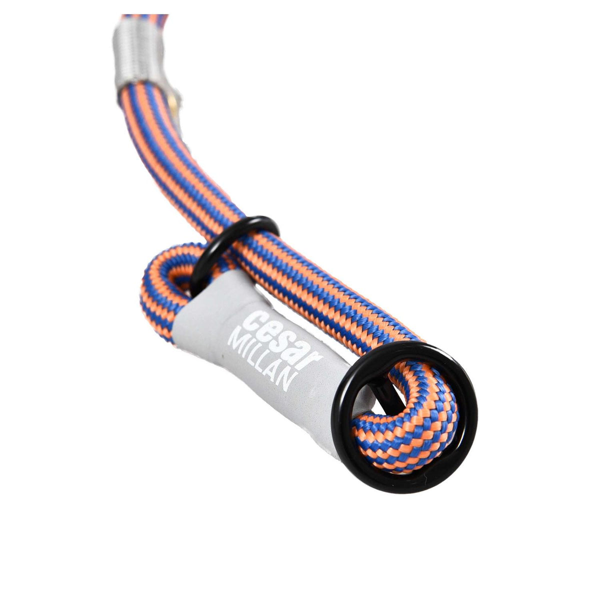Slip Lead Leash 2-in-1 Dog Training Lead & Collar B42724