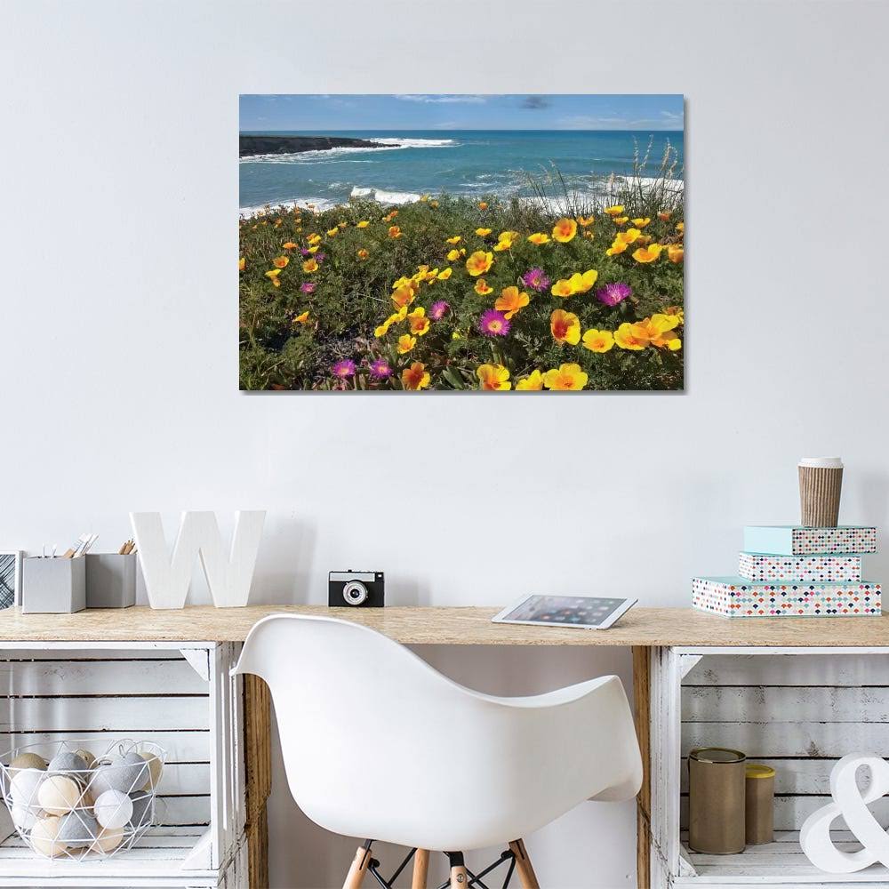 California Poppy and Iceplant Print on Canvas Art Q35701