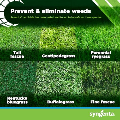 8 oz Liquid Weed Killer for Lawns W1469