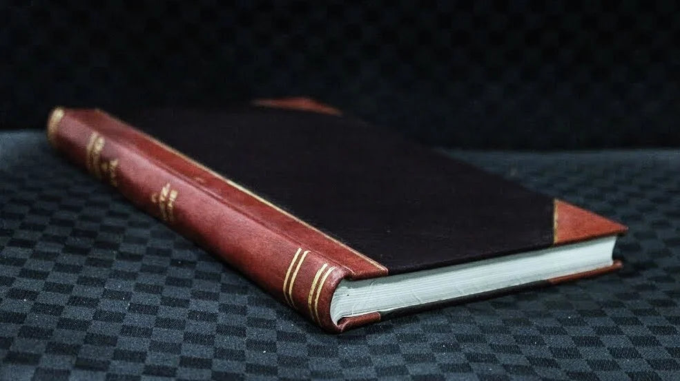 Novela Picaresca History Leatherbound Book S229