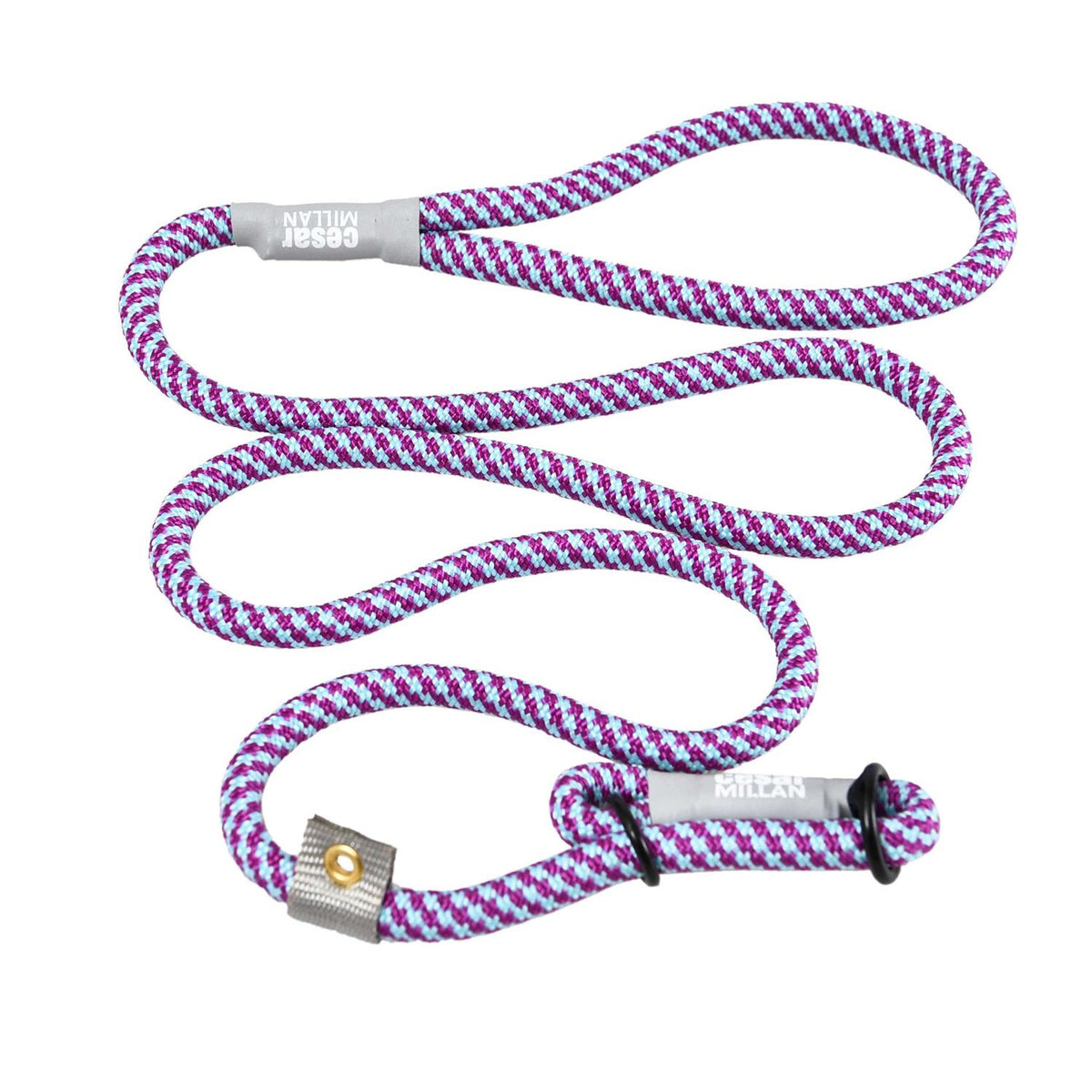 Slip Lead Leash 2-in-1 Dog Training Lead & Collar B42724