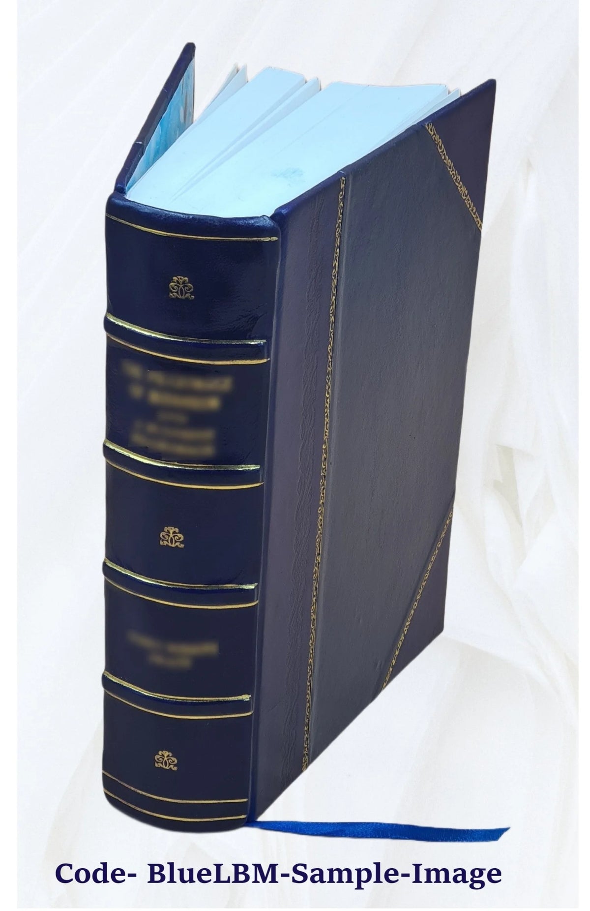 Leather Bound Novel Z8143