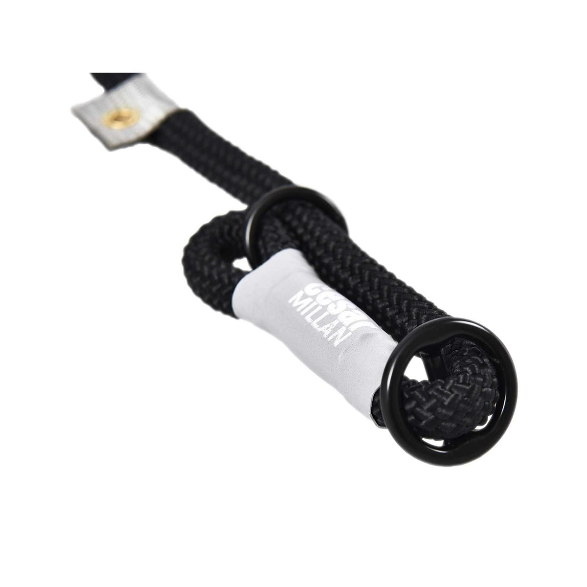 Slip Lead Leash 2-in-1 Dog Training Lead & Collar B42724
