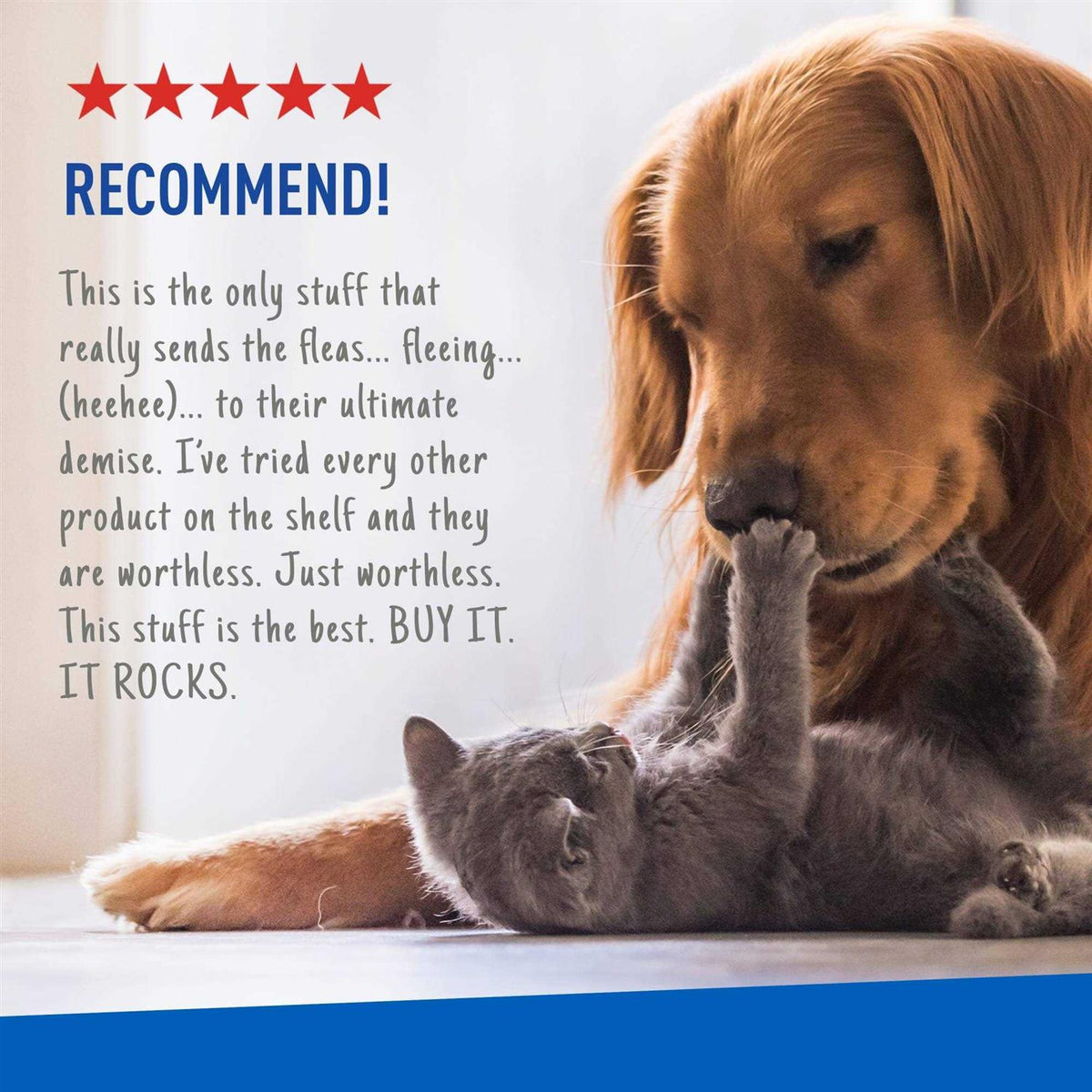 Flea Tick Spray G602338