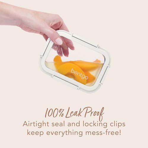 4-Piece Glass Food Storage Set Y5686