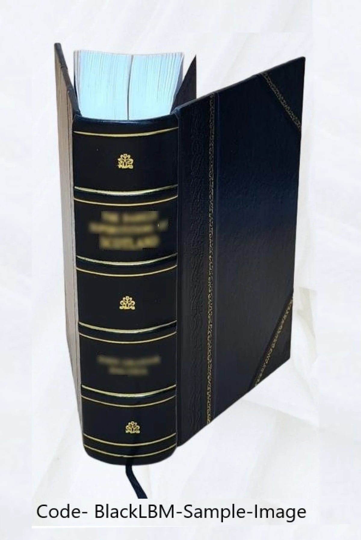 Leather Bound Novel Z8143
